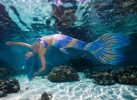 1672920585 Queue de sirene H2O a acheter – Le Mag des