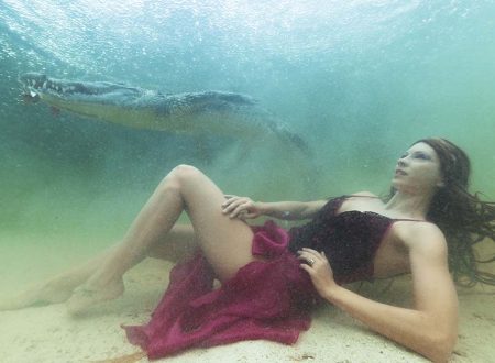Crocodile et modele sous marin – Le Mag des sirenes Shop